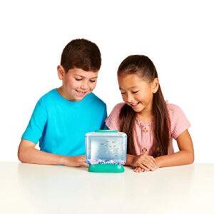 Little Live Aqua Dragons - Deep Sea Habitat - LED Light Up Tank Hatch and Grow Aquatic Pets