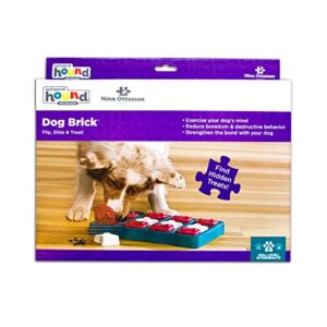 Outward Hound Nina Ottosson Dog Brick Interactive Treat Puzzle Dog Toy, Intermediate