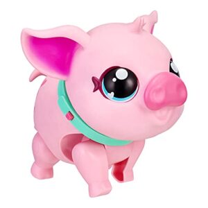 Little Live Pets - My Pet Pig: Piggly | Soft and Jiggly Interactive Toy Pig That Walks, Dances and Nuzzles. 20+ Sounds & Reactions. Batteries Included. for Kids Ages 4+