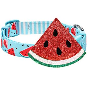 blueberry pet 2022 new summer sparkle dog collar, adjustable medium size, neck 14.5″-20″, zesty fruit watermelon blue, pet collar with detachable accessory