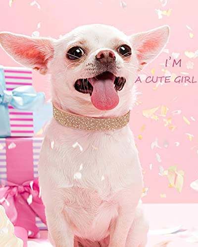 Dog Collar for Small Dogs, Adjustable Leather Suede Bling Dog Collars，Pink Dog Collar Cat Collar, Rhinestone Dog Collar(S, Pink)