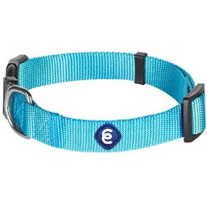 blueberry pet essentials 21 colors classic dog collar, turquoise, small, neck 12″-16″, nylon collars for dogs