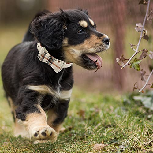 TUKOAW Leather Small Dog Collar and Leash Set - Plaid Bow Tie & Bandana Cute Dog Collar - Adjustable Pet Collars with Walking Leash for Small Dog Puppy Cat