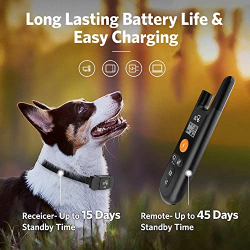 DOG CARE Dog Training Collar for Large Medium Dogs - Dog Shock Collar with Remote, Dog Training Collar with Beep, Vibration, Static Modes, Keypad Lock, 0-99 Adjustable Shock Levels, Long Remote Range