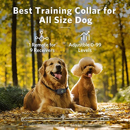 DOG CARE Dog Training Collar for Large Medium Dogs - Dog Shock Collar with Remote, Dog Training Collar with Beep, Vibration, Static Modes, Keypad Lock, 0-99 Adjustable Shock Levels, Long Remote Range