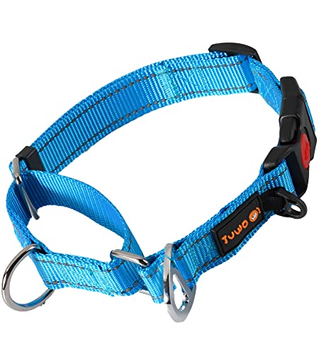 JuWow Nylon Martingale Collar, Adjustable Pet Slip Collar with Breakaway Buckle for Medium Large Dogs, Reflective Stitching Collar for Safe Training Walking (Large:17-22" * 1", Blue)