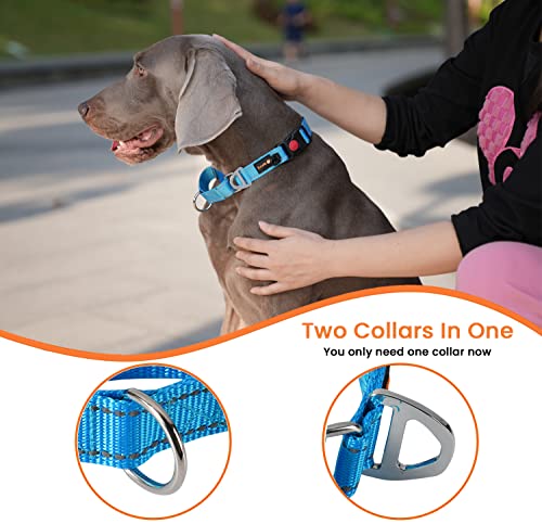 JuWow Nylon Martingale Collar, Adjustable Pet Slip Collar with Breakaway Buckle for Medium Large Dogs, Reflective Stitching Collar for Safe Training Walking (Large:17-22" * 1", Blue)