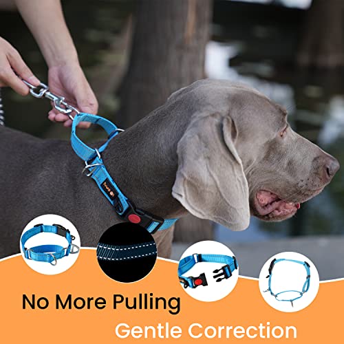 JuWow Nylon Martingale Collar, Adjustable Pet Slip Collar with Breakaway Buckle for Medium Large Dogs, Reflective Stitching Collar for Safe Training Walking (Large:17-22" * 1", Blue)