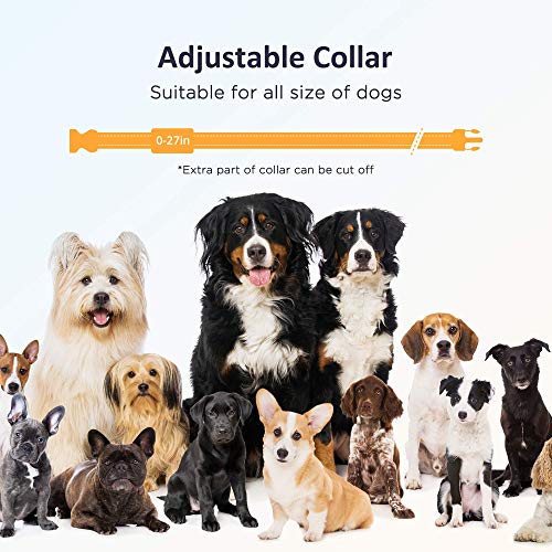 PATPET Shock Collar for Small Dog - 3000Ft Control with 3 Safe Training Modes for Small Medium Large Dogs, 2023 Upgrade Electric Dog Training Collar with Remote