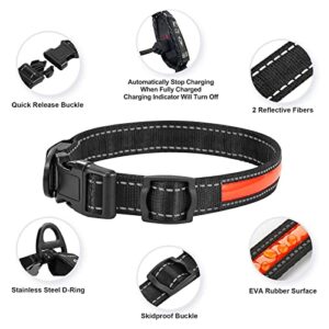 LIFIS LED Dog Collar Light Up IPX7 Waterproof Higher Brightness Glow in The Dark Dog Collars for Large Medium Small Dogs USB Rechargeable Reflective Fiber (M(16.5-20.5''/42-52cm), Red)