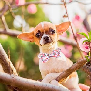 Lionheart glory Dog Collar with Bow Tie Pink Peach Dog Collar Girl Soft Durable Adjustable Puppy Gift Collar Bows Spring Collar Dog Bow