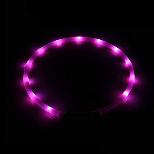 2023 The Newest Light Up Dog Collar, 1PC LED Dog Collar Lights for Night Time, Dog Lights for Night Walking