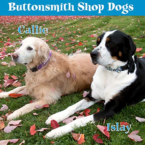 Buttonsmith Custom Dog Collar - Fadeproof Printing, Military Grade Buckle, Choice of 6 Sizes, Made in The USA