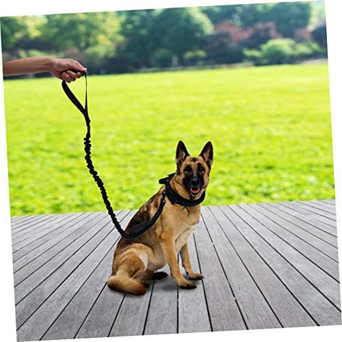 GLSTOY 1 Set Dog Collar Small Puppy Collar Small Cat Collar Collars for Large Breed Dogs Dog Harness Leash Dog Halter Collars Dog Walking Leads Large Dog Hiking Collar Pet Collar