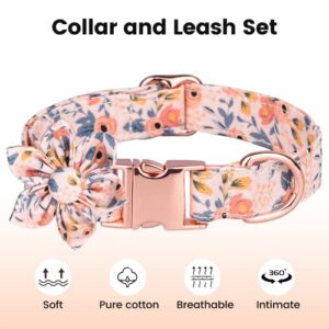 5PCS Girl Dog Collar and Leash Sets,BOZILY Cute Dog Collars Set for Female Dogs,Adjustable Puppy Collars,Safety Metal Buckle (S)