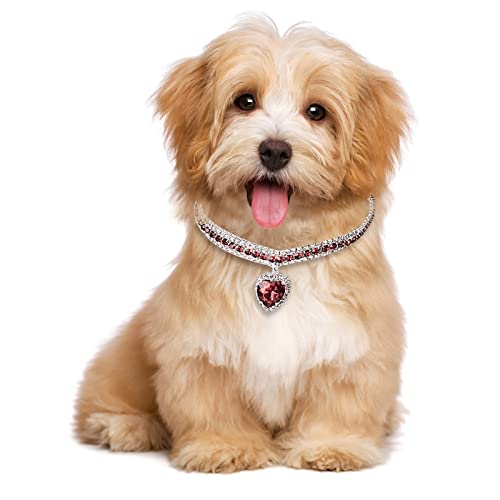 HonpraD Dog Charm Collar Pet Cat Collar Dog Necklace Metal Diamond Necklace Small and Medium Dogs Anti Chewing Chain Pet Accessories (Small, Pink)