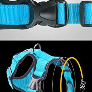 SXNBH Pet Dog Harness Vest Mesh Dog Harness Adjustable Soft Breathable Dog Harness Puppy Collar Cat Pet Dog Harness (Color : D, Size : Small)