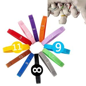 wxyinspas newborn puppy id collars with numbers – dog kitten collar – 3 adjustable sizes of personalized collars for small medium large whelping dogs – assorted colors, whelping supplies (6pcs-m)