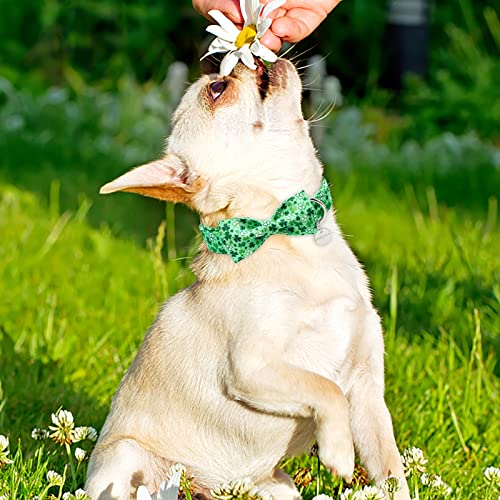 UP URARA PUP St. Patrick's Day Dog Collar with Bow Tie, Cotton St. Patrick's Day Bowtie Collar for Large Girl Boy Dog, Lucky Shamrock Dog Collar with Metal Buckle, Green, Spring, L, Neck 16-24in