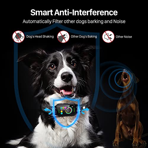 DINJOO Dog Bark Collar 2 Pack,Rechargeable Bark Collar for Large Medium Small Dogs,Smart Anti Barking Training Collar with 8 Adjustable Sensitivity,Bark Shock Collar with Beep Vibration Shock