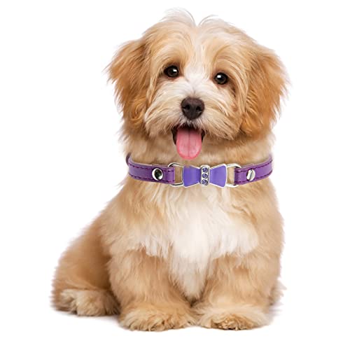 Personalized Dog Collars with Bling Rhinestone Pet Custom Padded PU Leather Dog Collar for Small Dogs