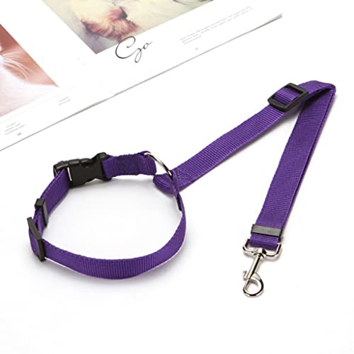 TREXDP Pet Back Seat Collar Adjustable Strap Kitten Dog Collar Pet Accessories