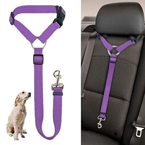 TREXDP Pet Back Seat Collar Adjustable Strap Kitten Dog Collar Pet Accessories