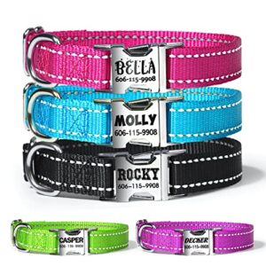 personalized nylon dog collars with laser engraved name plate, buckle closure, and reflective threads