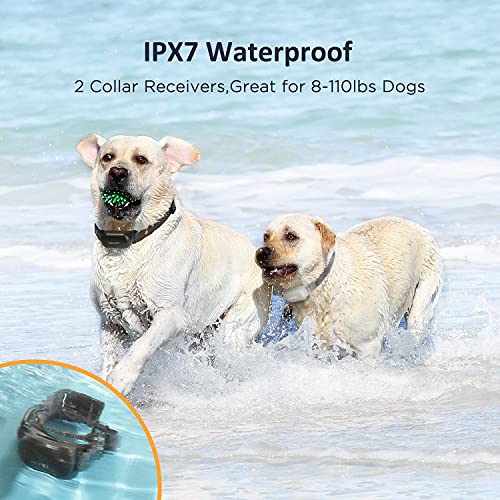 PATPET Shock Collar for Large Dog(10-100 lbs) 2 Dogs, Rechargeable IPX7 Waterproof - Dog Training Collar with Remote for Small Medium 2 Packs