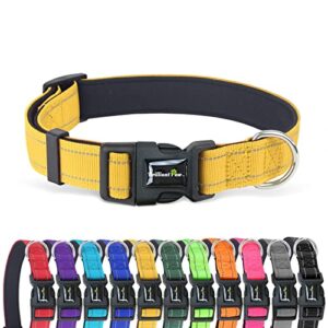 brilliant paw reflective dog collar, adjustable nylon collar, strong yet comfortable, safety locking buckle, length adjustable for small medium and large dog