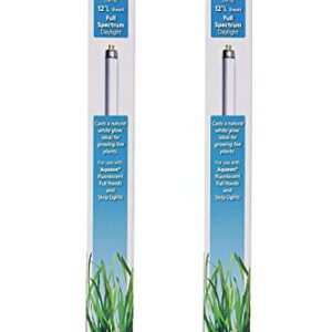 Aqueon 2 Pack of T5 Freshwater Aquarium Lambs, 8 Watt, 12 Inches Long, Full Spectrum Daylight Ideal for Growing Live Plants