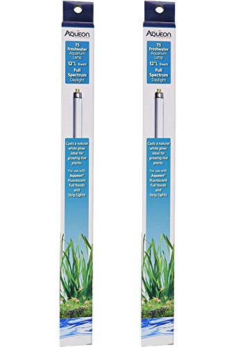 Aqueon 2 Pack of T5 Freshwater Aquarium Lambs, 8 Watt, 12 Inches Long, Full Spectrum Daylight Ideal for Growing Live Plants