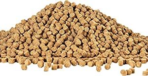 Aqueon Shrimp Pellets [Set of 2] Size: 6.5 Ounce