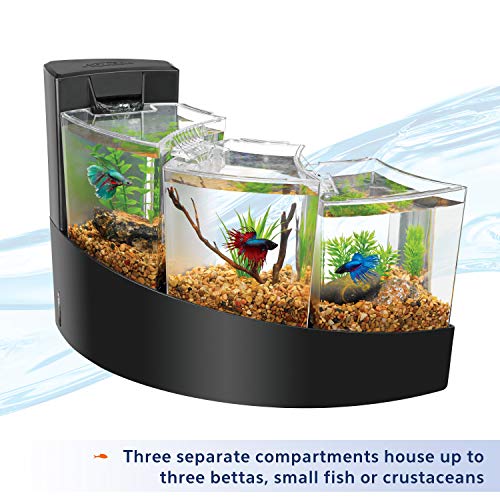 Aqueon Betta Falls 3 Section Aquarium Fish Tank With QuietFlow Power Filtration, Black