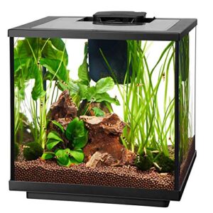 Aqueon 00800098: Aquarium Kit Led Shrimp Tank 7.5G