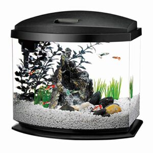 aqueon led minibow aquarium starter kit with led lighting, 5 gallon, black