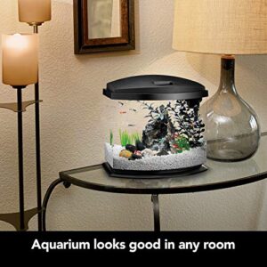 Aqueon LED Minibow Aquarium Starter Kit with LED Lighting, 5 Gallon, Black