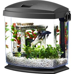 aqueon 00800190: aquarium kit bettabow w/quick clean technology 1g