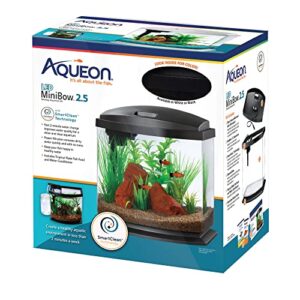 aqueon 00800199: aquarium kit mini bow led blk 2.5g