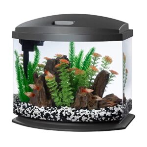 aqueon 00800202: aquarium kit mini bow led gray 5g