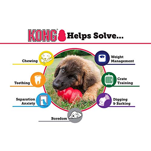 KONG - Extreme Dog Toy - Toughest Natural Rubber, Black - Fun to Chew, Chase and Fetch - for Large Dogs