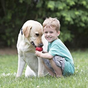 KONG Classic Medium Dog Toy Red Medium Pack of 2