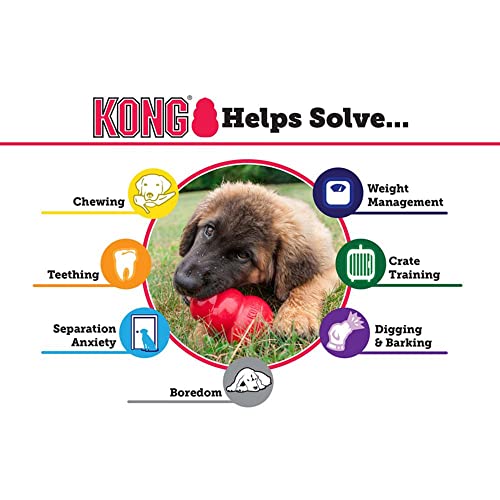 KONG Senior Dog Toy - Gentle Natural Rubber Dog Treat Dispensing Toy - for Medium Dogs