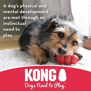 KONG - Stuff-A-Ball - Durable Rubber, Treat Dispensing and Teeth Cleaning Dog Toy - for Medium Dogs