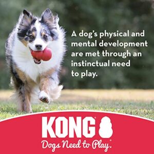 KONG Tug of War Toy - Durable, Stretchy Rubber Dog Toy - for Medium Dogs