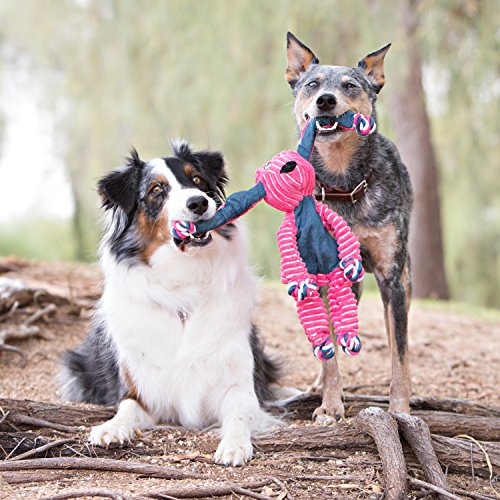 KONG - Floppy Knots - Internal Knotted Ropes and Minimal Stuffing for Less Mess - Elephant, for Medium/Large Dogs