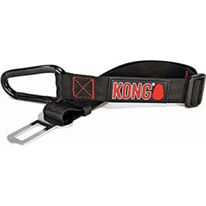 kong dog seat belt tether – attaches to harness for safe travel & car rides