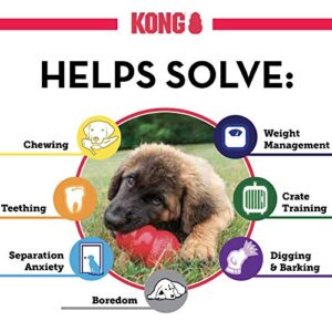 KONG Classic Dog Toy & Ziggies - Dog Chew Toy with Dog Treats - for Large Dogs