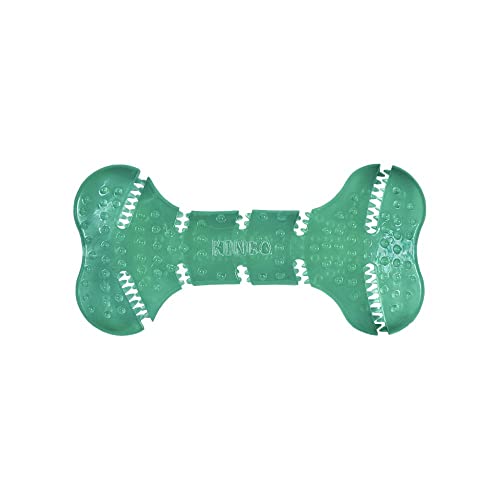 KONG - Squeezz Dental Bone - Unique Flexible Texture, Teeth and Gum Cleaning Dog Toy - for Medium/Large Dogs