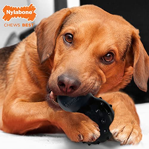 Nylabone Strong MAX Chew Cone Stuffable Chew Toy for Dogs MAX Cone Beef Medium/Wolf (1 Count)